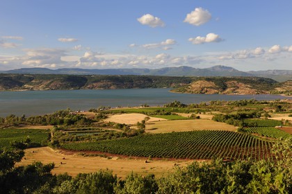 France, Herault, Salagou Lake, fields and vineyard