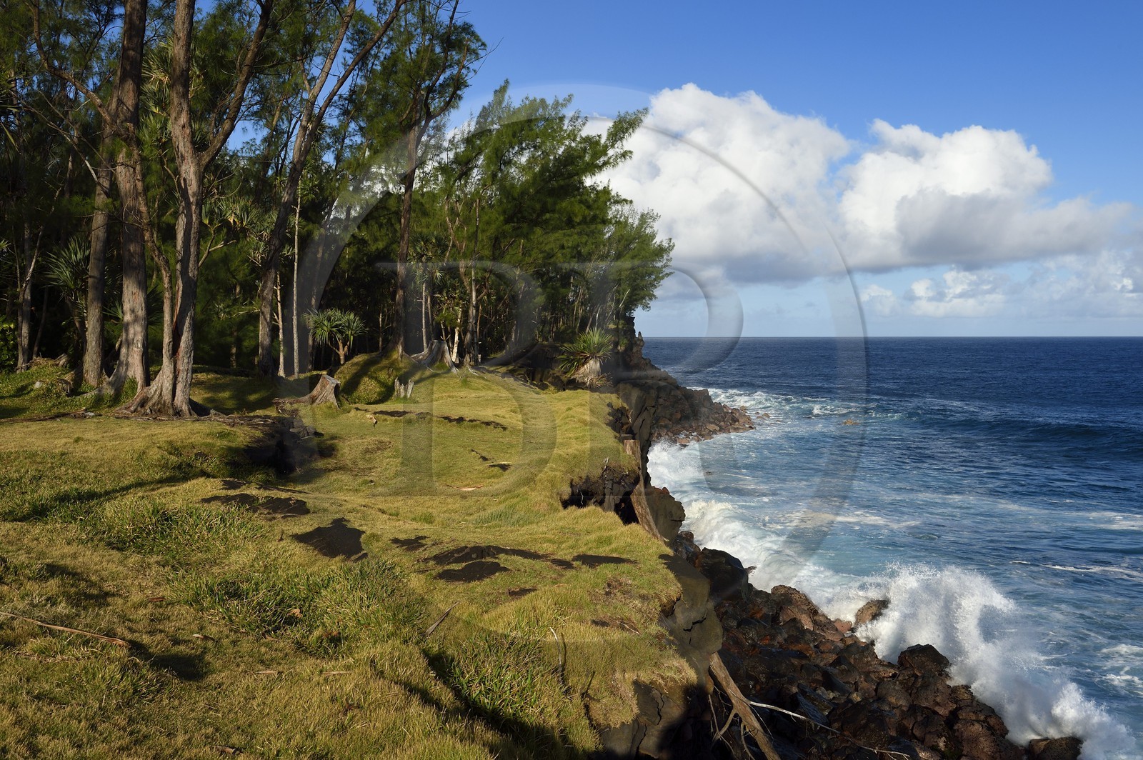 France, Ile de la Reunion, Côte Sud, Sainte-Philippe, la côte sud sauvage au Baril