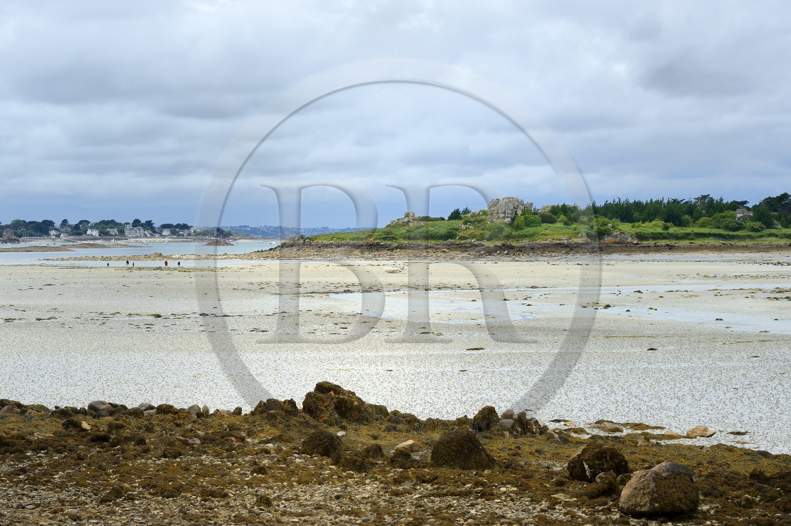France, Cotes-d'Armor, Cote d'Ajoncs, Penvenan, beach of Bugueles at low tide and the island of St. Gildas in the background