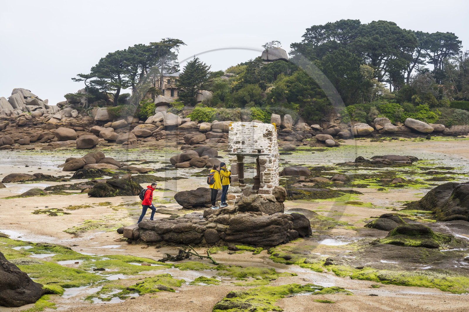 France, Côtes-d'Armor (22), Côte de Granit Rose, Perros-Guirec, Ploumanac'h, oratoire de Saint-Guirec sur la plage Saint-Guirec à marée basse