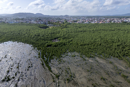 France, Guyane, Cayenne, Pointe Buzaré, la mangrove composée de palétuvier blanc (Laguncularia racemosa) entoure la totalité de la presqu'île de Cayenne, dans une période cyclique future elle disparaitra complétement pour à nouveau laisser place à la mer (vue aérienne)