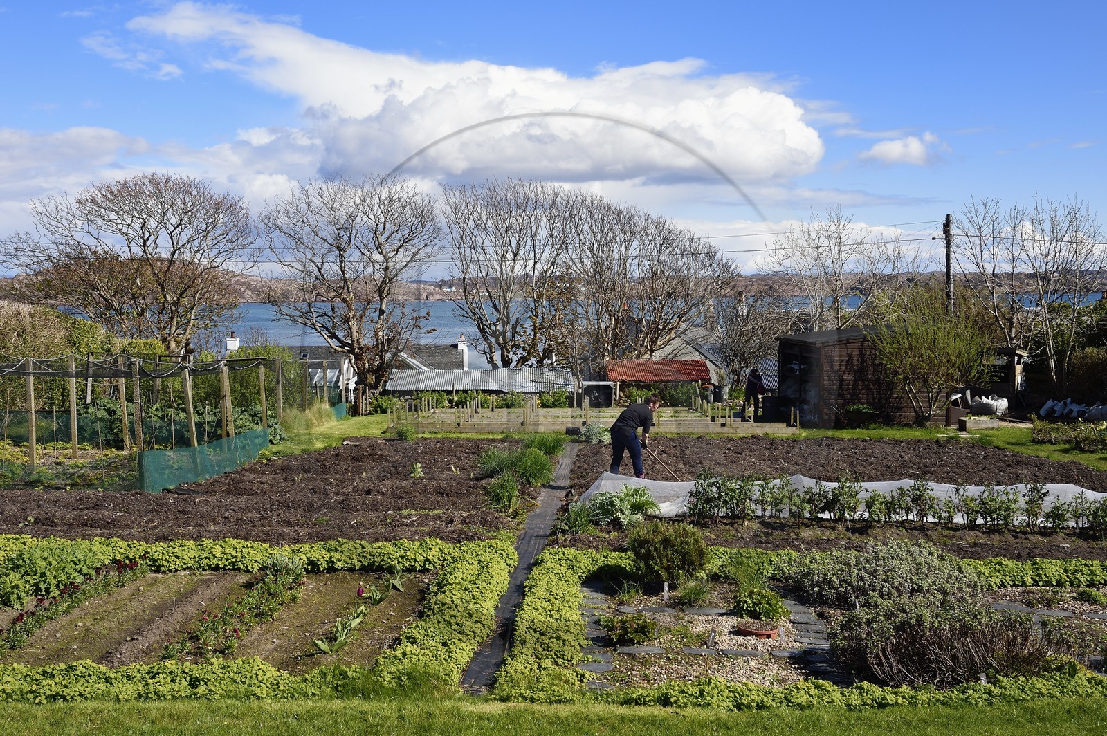 United Kingdom, Scotland, Highland, Inner Hebrides, Isle of Iona facing the Isle of Mull, the Argyll Hotel organic garden in the foreground
