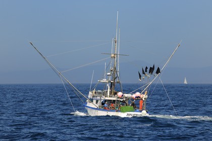 United States, California, Monterey Bay, fishing boat