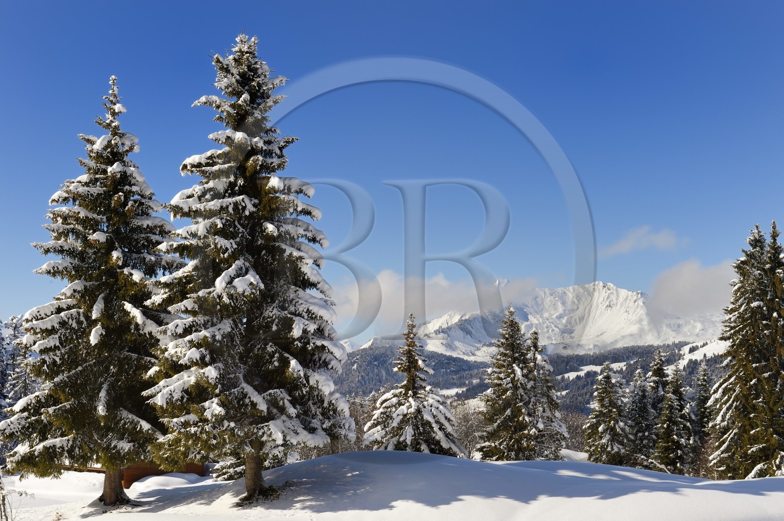 France, Haute-Savoie (74), Morzine, la vallée d'Aulps, massif du Chablais, domaine skiable des Portes du Soleil,