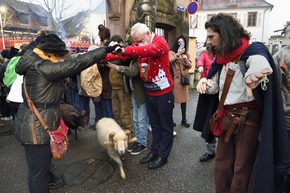 France, Haut-Rhin (68), Ribeauvillé, le marché de Noël médiéval, haie d'honneur pour le berger et son troupeau