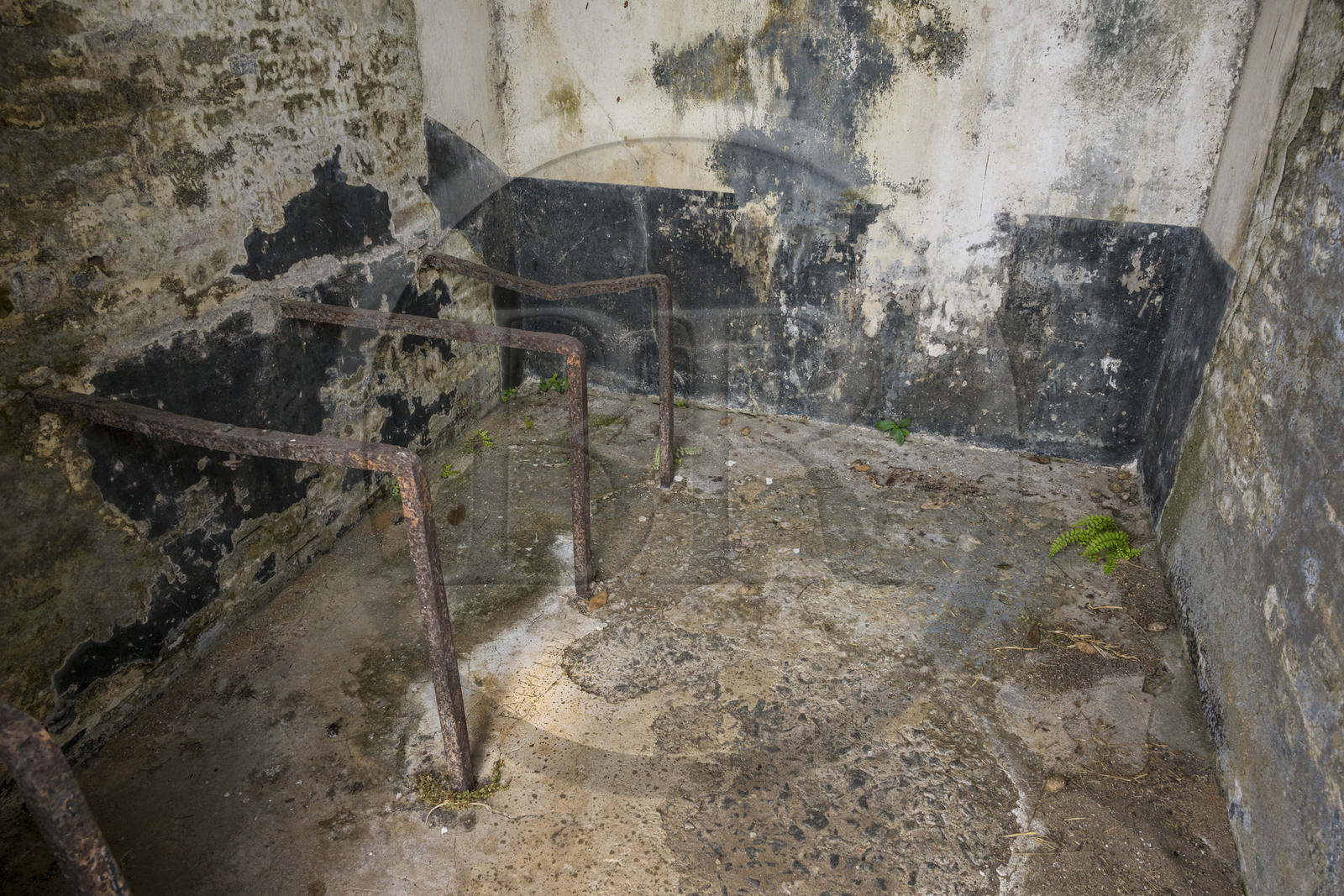 France, Guyane, Saint-Laurent-du-Maroni, bagne ou Camp de la Transportation, les quartiers disciplinaires, la cellule 47, célèbre pour avoir été celle de Henri Charrière plus connu sous le pseudonyme de Papillon, il a gravé sa signature sur le sol