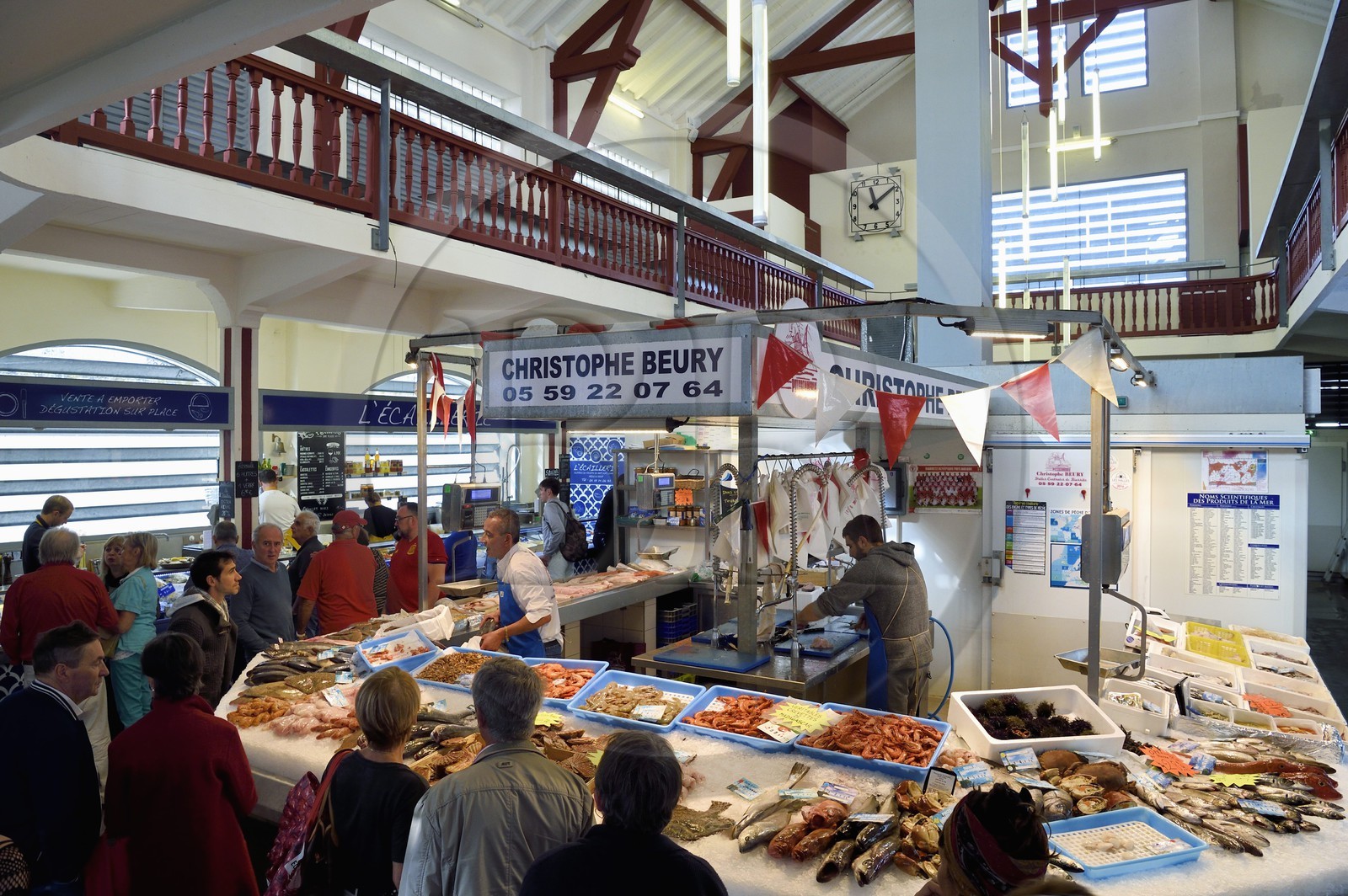 France, Pyrenees Atlantiques, Basque Country, Biarritz, the covered market les Halles, the fishmonger's hall