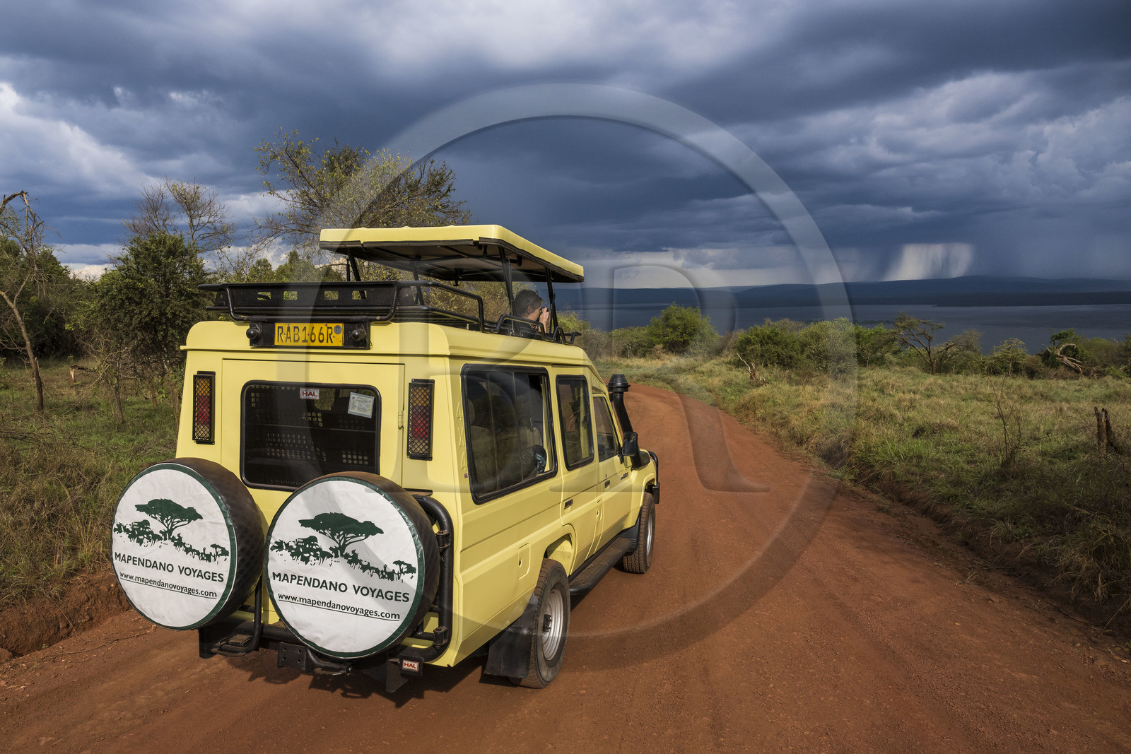 Rwanda, Parc national de l'Akagera, safari en 4x4 sur une piste menant au lac Ihema