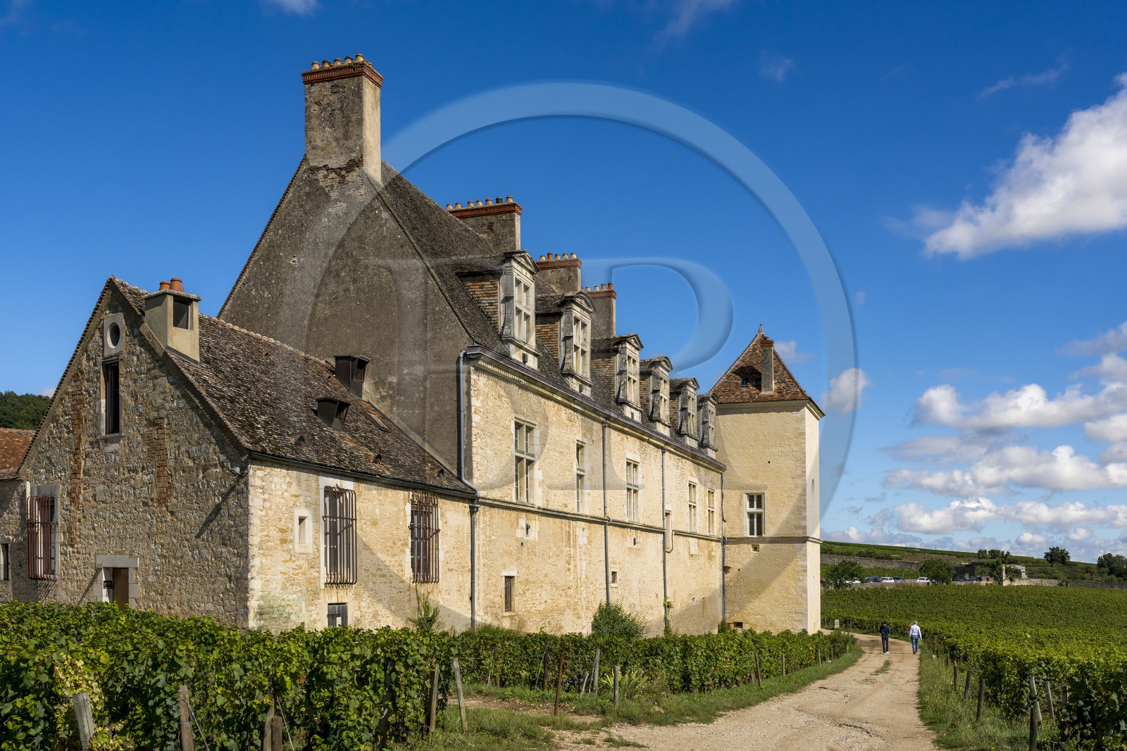France, Cote d'Or, cultural Landscape of the climates of Burgundy listed as World Heritage by UNESCO, Route des Grands Crus (road of Vintage Wines), vineyard of the Côte de Nuits, Vougeot, the Chateau of Clos de Vougeot