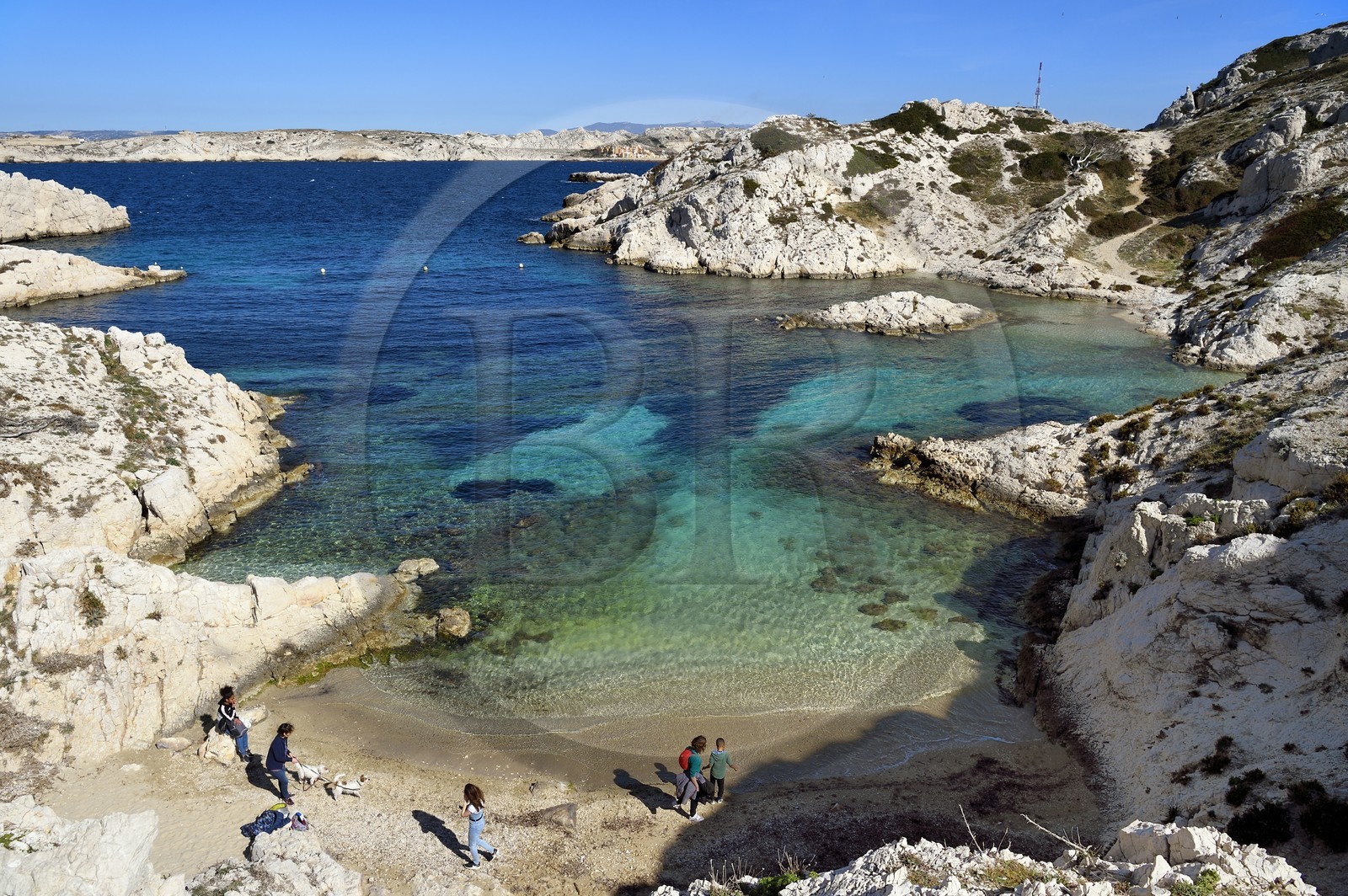 France, Bouches du Rhone, Marseille, Calanques National Park, archipelago of Frioul islands, Pomegues island, calanque de la Crine (Crine beach)