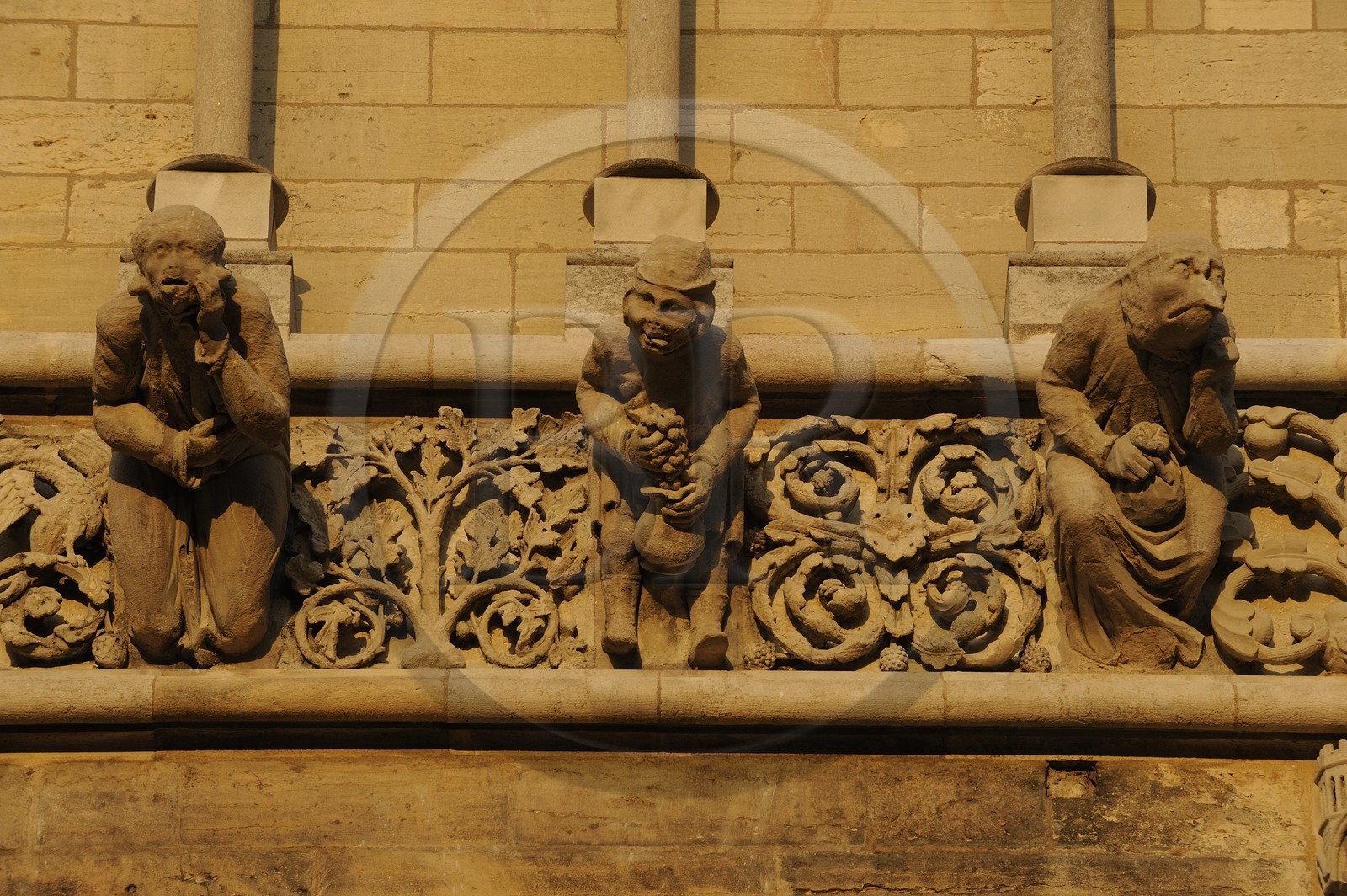France, Côte d'Or (21), Dijon, l'église Notre-Dame (1230-1250), triple rangées de fausses gargouilles en façade