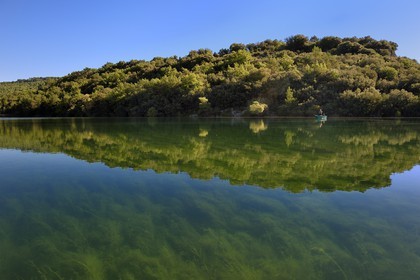 Var (83) rive gauche et Alpes-de-Haute-Provence (04) rive droite, Parc Naturel Régional du Verdon, Basses Gorges du Verdon en aval du lac de Sainte Croix, pecheur sur sa barque