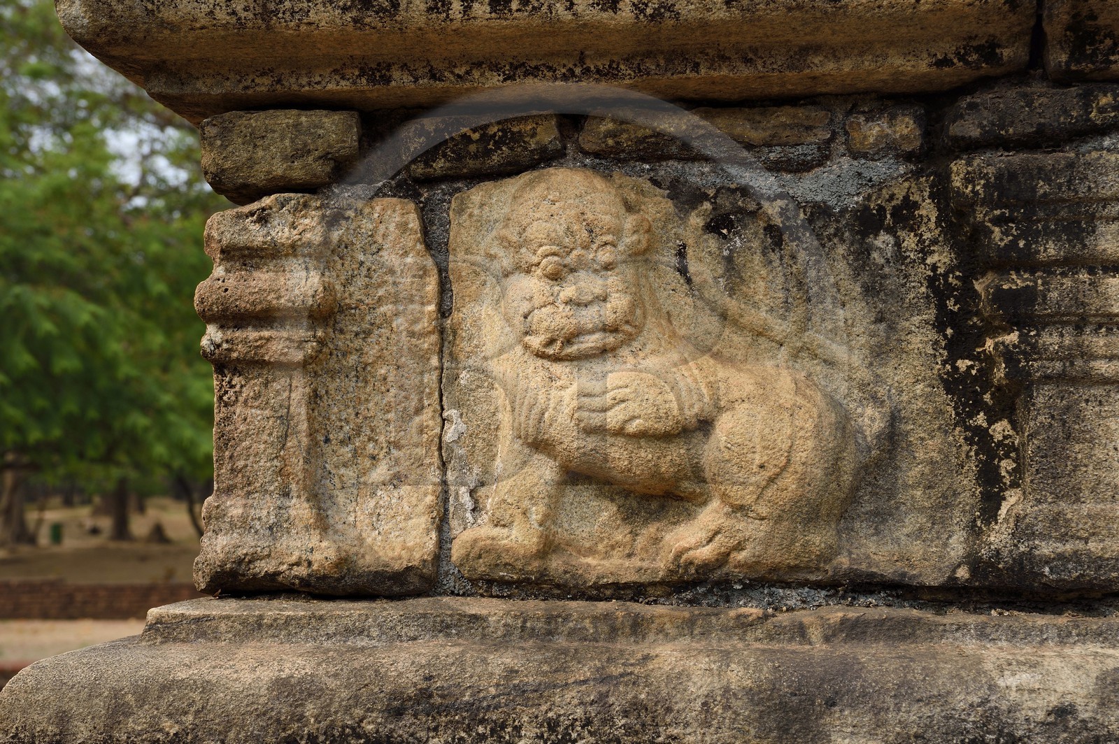 Sri Lanka, North Central province, Polonnaruwa, the former capital of the country (11th to 13th century) listed as World Heritage by UNESCO, Council Chamber (Raja Sabahawa) dating from the 12th century, detail of a frieze in bas-relief depicting a lion