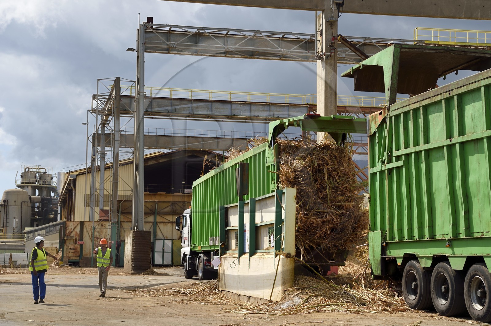 France, Ile de la Reunion, Saint-Louis, l'usine sucrière du Gol, déchargements de la canne à sucre des cachalots (camions ou remorques)