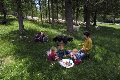 France, Alpes-Maritimes (06), vallée de la Roya (arrière-pays niçois), au pied du parc national du Mercantour, Tende, vallée de la Casterine vers Casterino, la jeune éleveuse de brebis brigasques Céline Giordano avec ses trois enfants et son troupeau