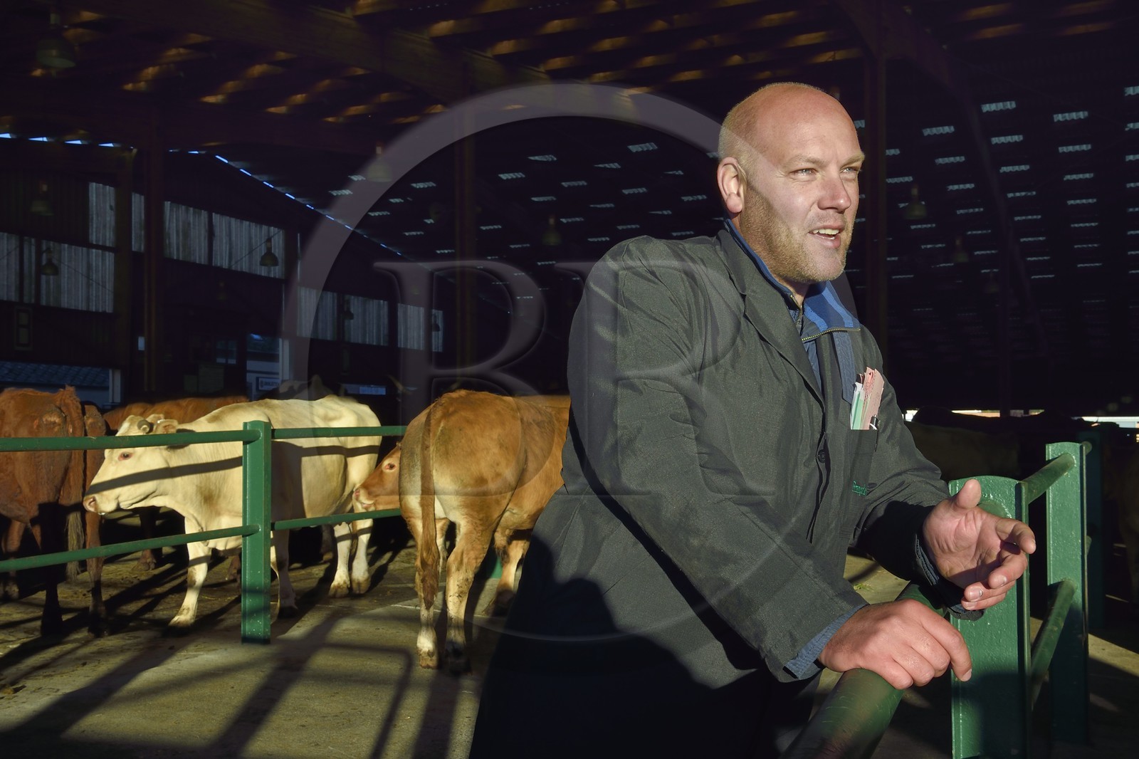 France, Seine Maritime, Forges les eaux, livestock market (mainly cows), Stéphane François Cattle trader