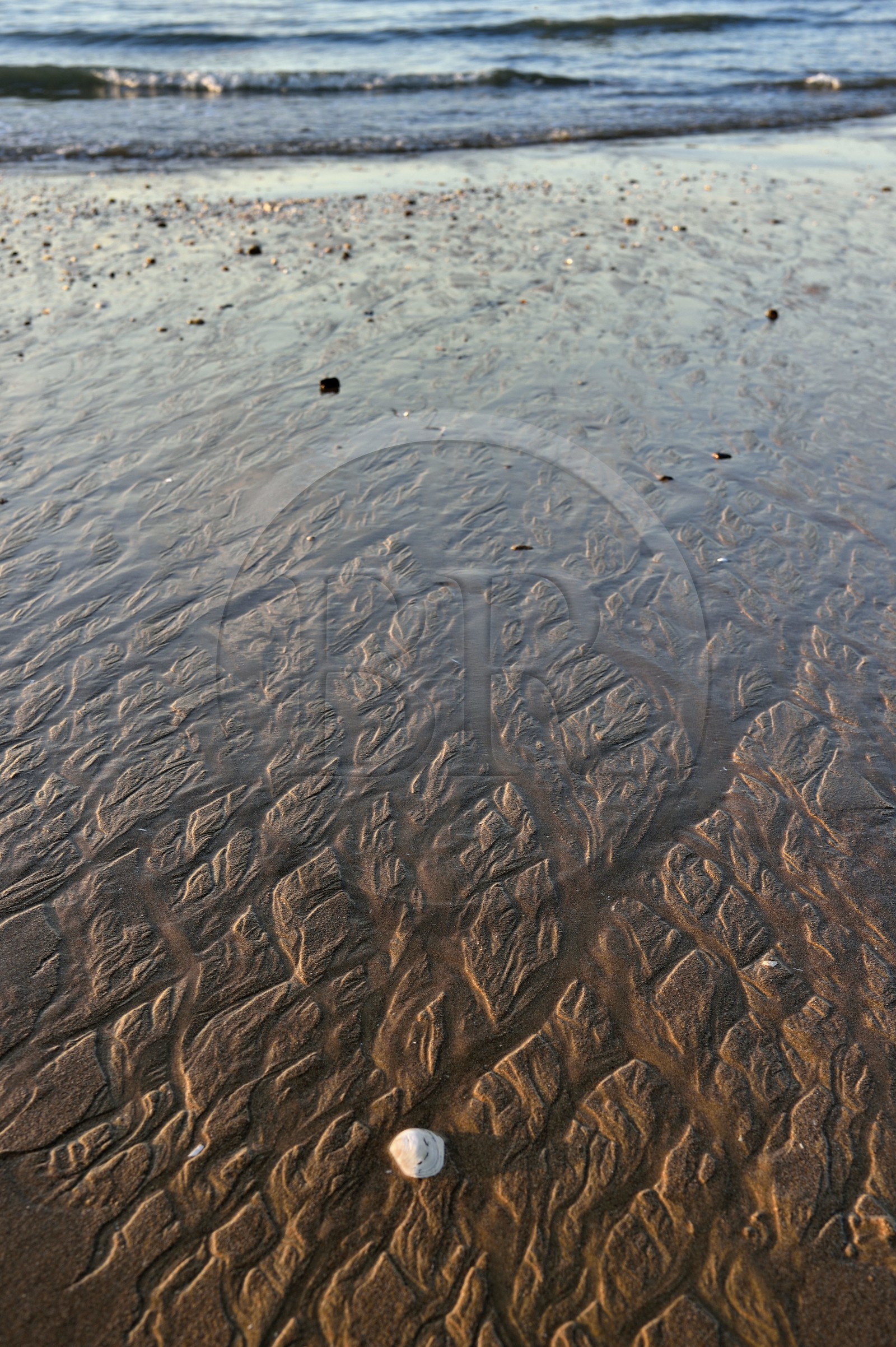 France, Calvados (14), Pays d'Auge, la côte Fleurie, Cabourg, la plage de la station balnéaire
