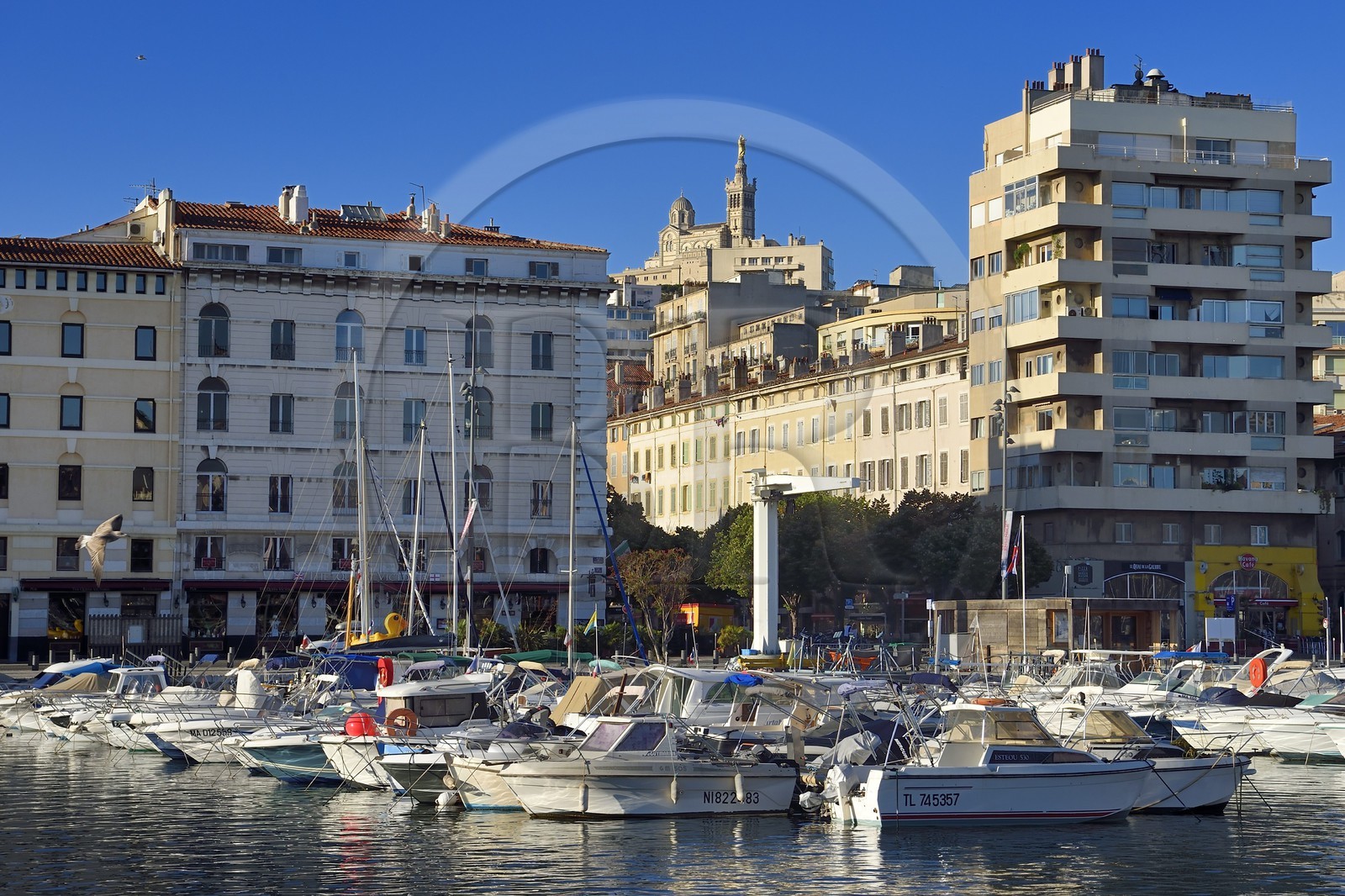 France, Bouches-du-Rhône (13), Marseille, Le Vieux Port, quai de Rive Neuve, la basilique Notre Dame de la Garde en arrière plan