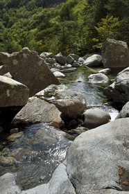 France, Haute-Corse (2B), Vivario, GR 20, étape entre le refuge de l'Onda et Vizzavona, foret de Vizzavona, les cascades des anglais, groupe de cascades dans la vallée de l'Agnone au pied du Monte d'Oro