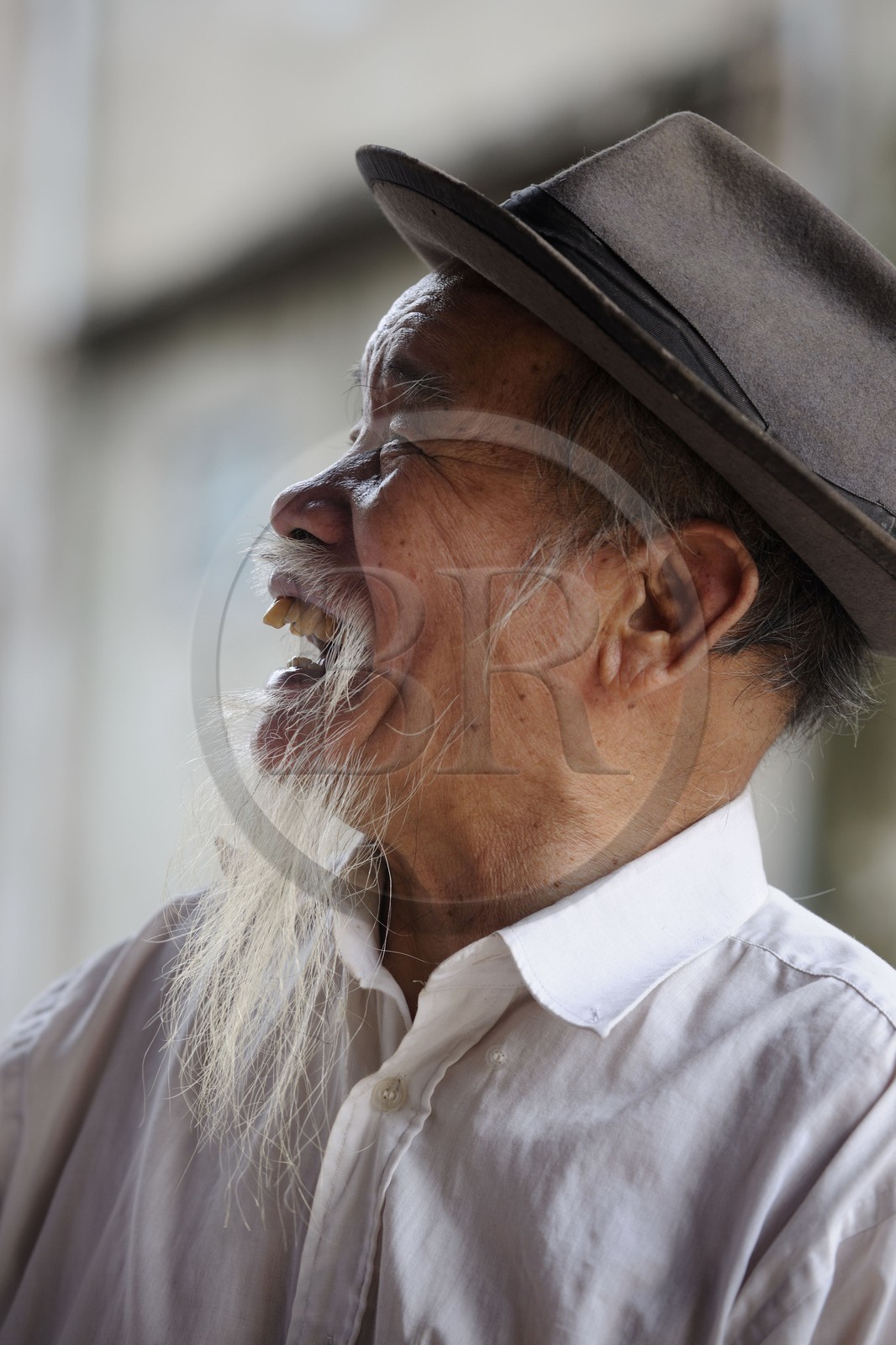 Vietnam, Hanoi, portrait of an old man with Ho Chi Minh beard
