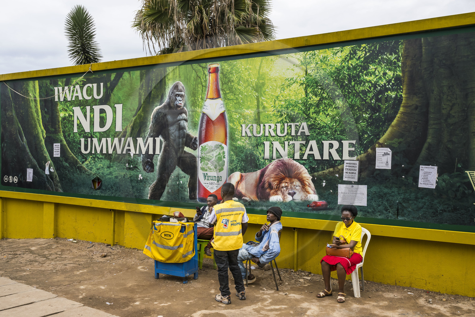 Rwanda, Kigali, advertisement for Virunga beer made in Rwanda featuring a gorilla