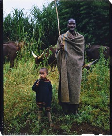 Burundi, province de Bujumbura, région d'Ijenda, vacher Tutsi, les Tutsi sont traditionnellement des éleveurs de vache, la vache est pour eux un animal quasiment sacré et représente l'essentiel de leur fortune avec la terre qui leur appartenait jusqu'en 1976, les vaches servent notamment au payement de la dote, lors des cérémonies il était de bon ton pour les femmes de porter de lourds bracelets aux chevilles et aux bras afin d'avoir l'élégante démarche de la vache (reproduction plan-film inversible 4x5)