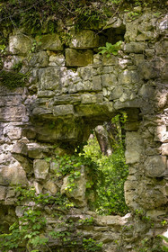 France, Vaucluse (84), Dentelles de Montmirail, Sablet, site en ruine d'une abbaye de moniales du VIIe siècle dans le vallon de Prébayon