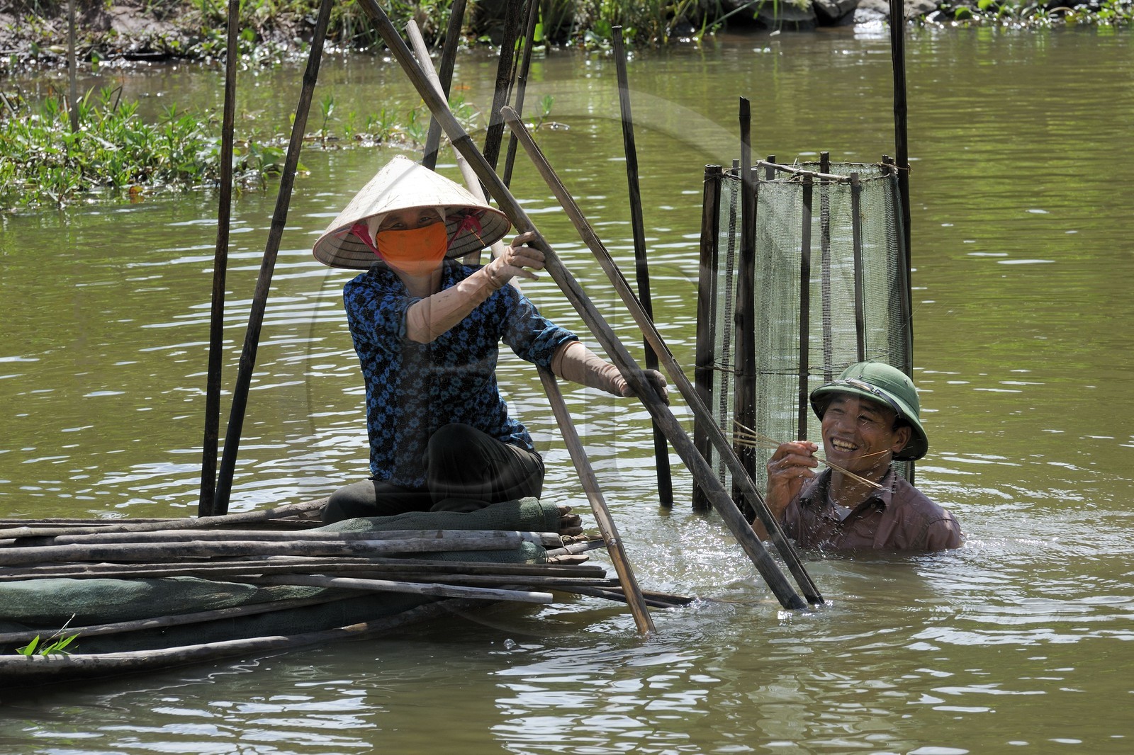 Vietnam, province de Ninh Binh, implantation de filets à poisson dans la rivière
