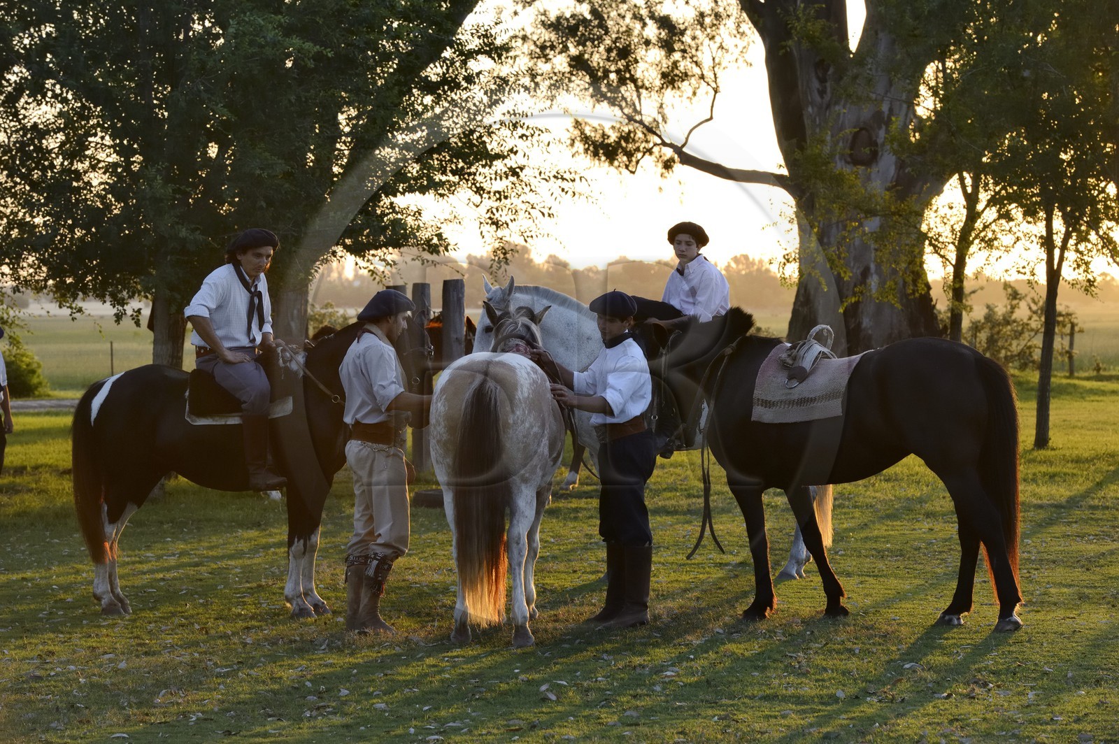 Argentine, province de Buenos Aires, San Antonio de Areco, gauchos dans l'estancia La Bamba de Areco