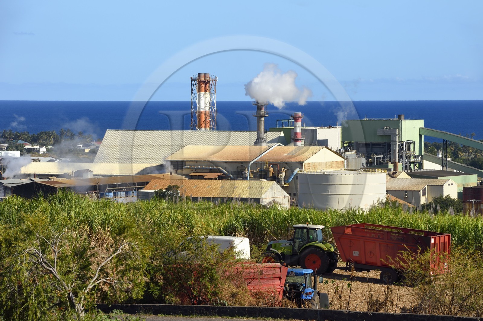 France, Reunion island (French overseas department), Saint-Louis, Le Gol sugar factory behind the sugar cane fields