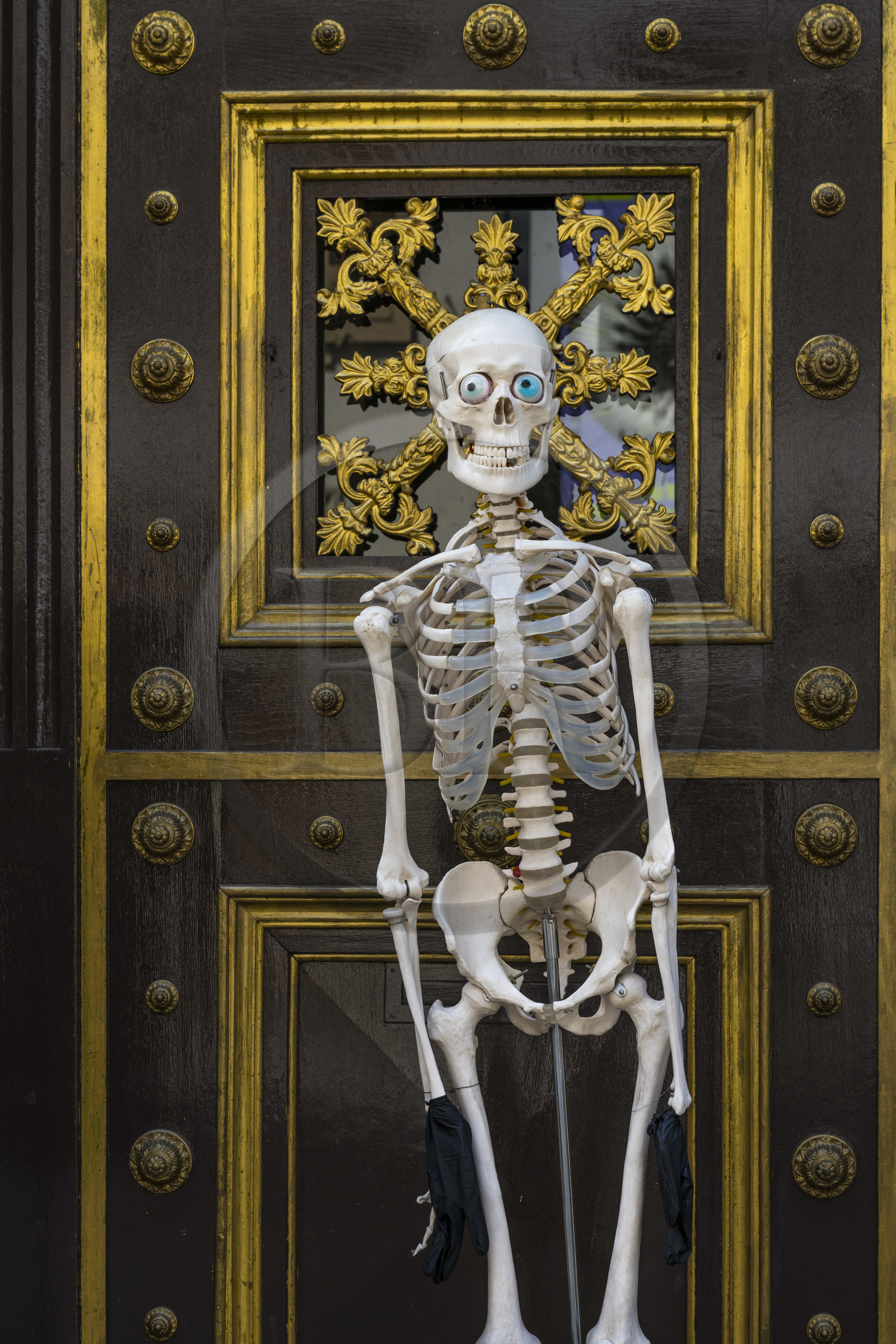 Suisse, Bâle, le vieux Bâle, Augustinergasse, squelette gardant l'entrée du Musée d'histoire naturelle