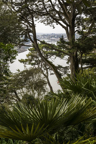 France, Côtes-d'Armor (22), Plouguiel, le Jardin botanique du Kestellic, classé jardin remarquable, dominant le fleuve Jaudy