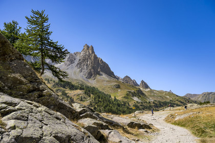 France, Hautes Alpes (05), le Briançonnais, Névache, vallée de la Clarée, le massif des Cerces et les pointes de la Main de Crépin (2942m) en arrière-plan