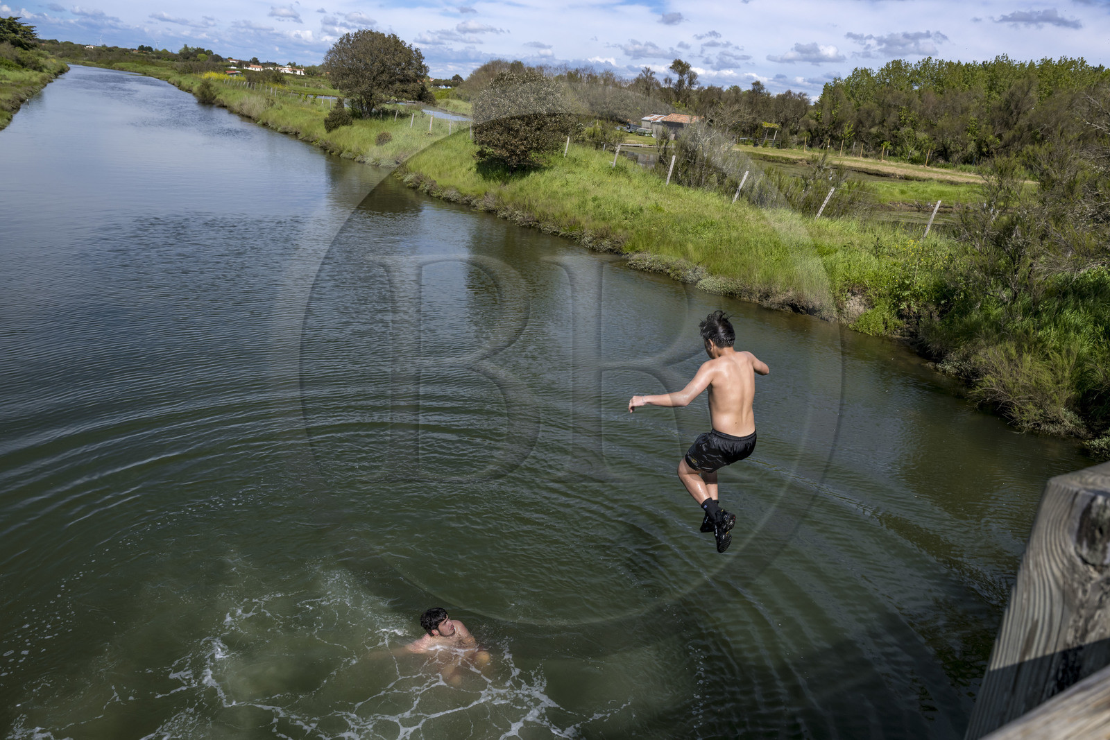 France, Vendée (85), Les-Sables-d'Olonne, marais de l'Auzance, adolescents sautant du pont de la Bauduère dans le canal du même nom