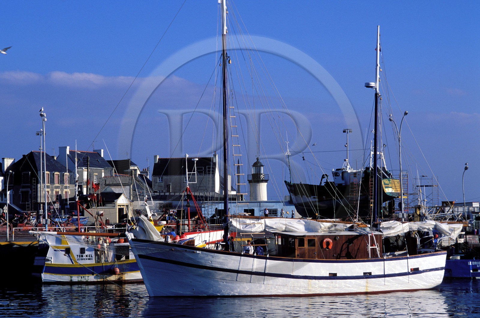 France, Finistère (29), retour au quai dans le port du Guilvinec
