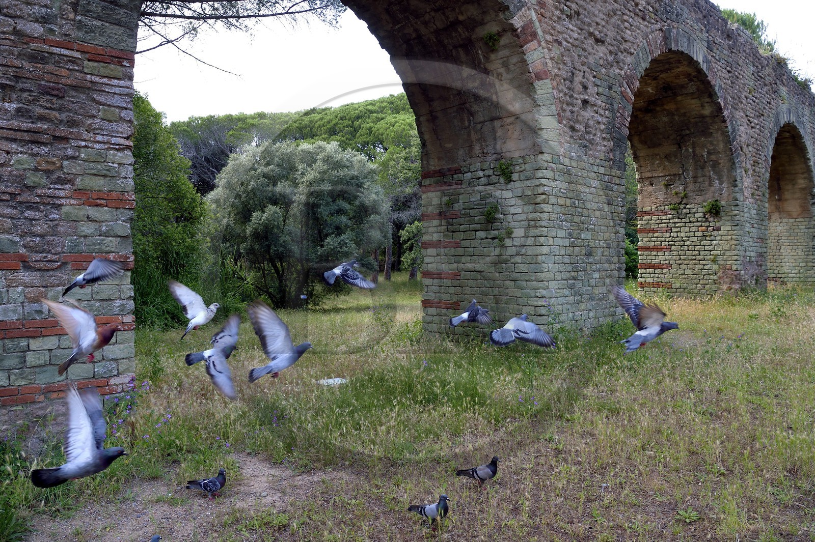 France, Var, Frejus, Forum Julii, park of the Villa Aurelienne, Roman aqueduct