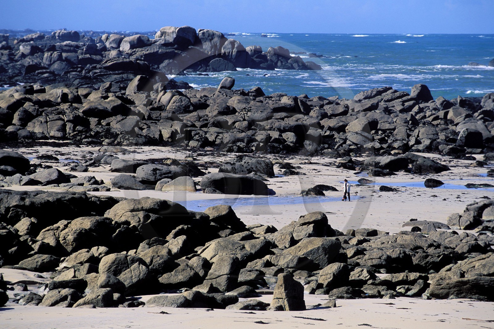 France, Finistère (29), Brignogan-Plages, marée basse à la plage de Ménéham