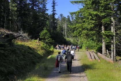 France, Bas-Rhin (67), chemin des passeurs au Donon sur la trace de la filière d'évasion du Rehtal
