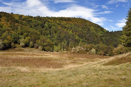 France, Vosges (88), Parc naturel régional des ballons des Vosges, Saint-Maurice-sur-Moselle, chaume des Neuf Bois, tourbière entouré par la foret