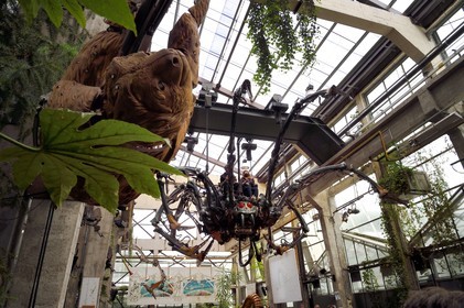 France, Loire-Atlantique (44), Nantes, galerie des Machines de l'Ile dans les hangars des anciens chantiers navals, projet artistique conçu par François Delarozière et Pierre Orefice, une Araignée Mécanique se hisse du sol à une branche haute et le Paresseux