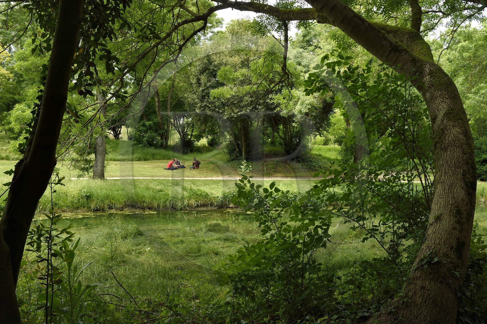 France, Charente-Maritime (17), La Rochelle, Parc Charruyer