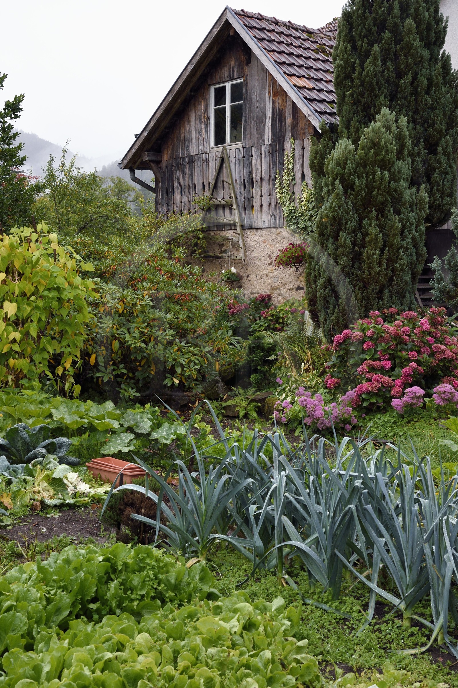 France, Haut-Rhin (68), Parc naturel régional des ballons des Vosges, Storckensohn non loin de Fellering, jardin potager