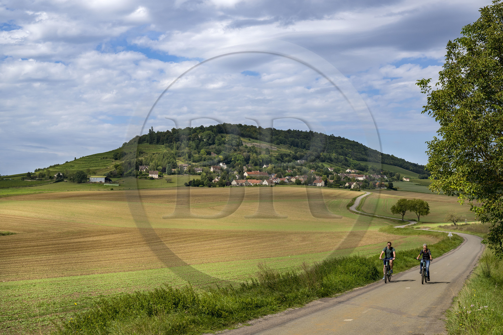 France, Côte-d'Or (21), cyclotourisme sur les terres des Hautes Côtes de Nuits à Segrois et l'abbaye Saint-Vivant de Vergy en arrière plan sur la colline