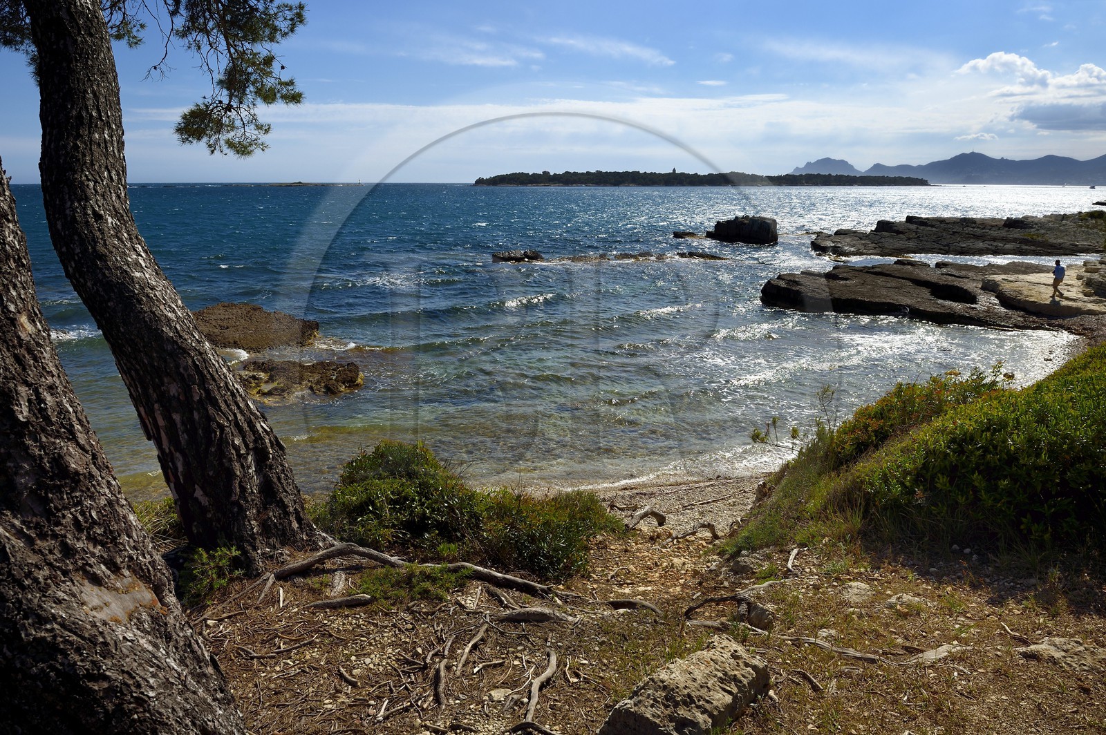 France, Alpes-Maritimes, Lerins Islands, Sainte-Marguerite island, the south coast facing the Saint-Honorat island, the Esterel Mountains in the background