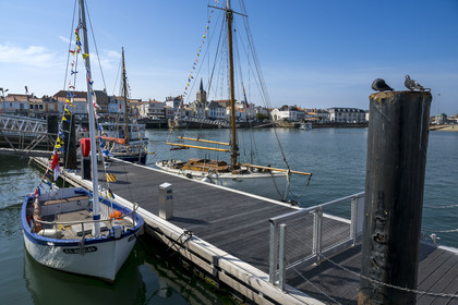 France, Vendée (85), Les-Sables-d'Olonne, bateaux traditionnels amarrés à l'entrée du port de commerce, le quartier de La Chaume en arrière plan