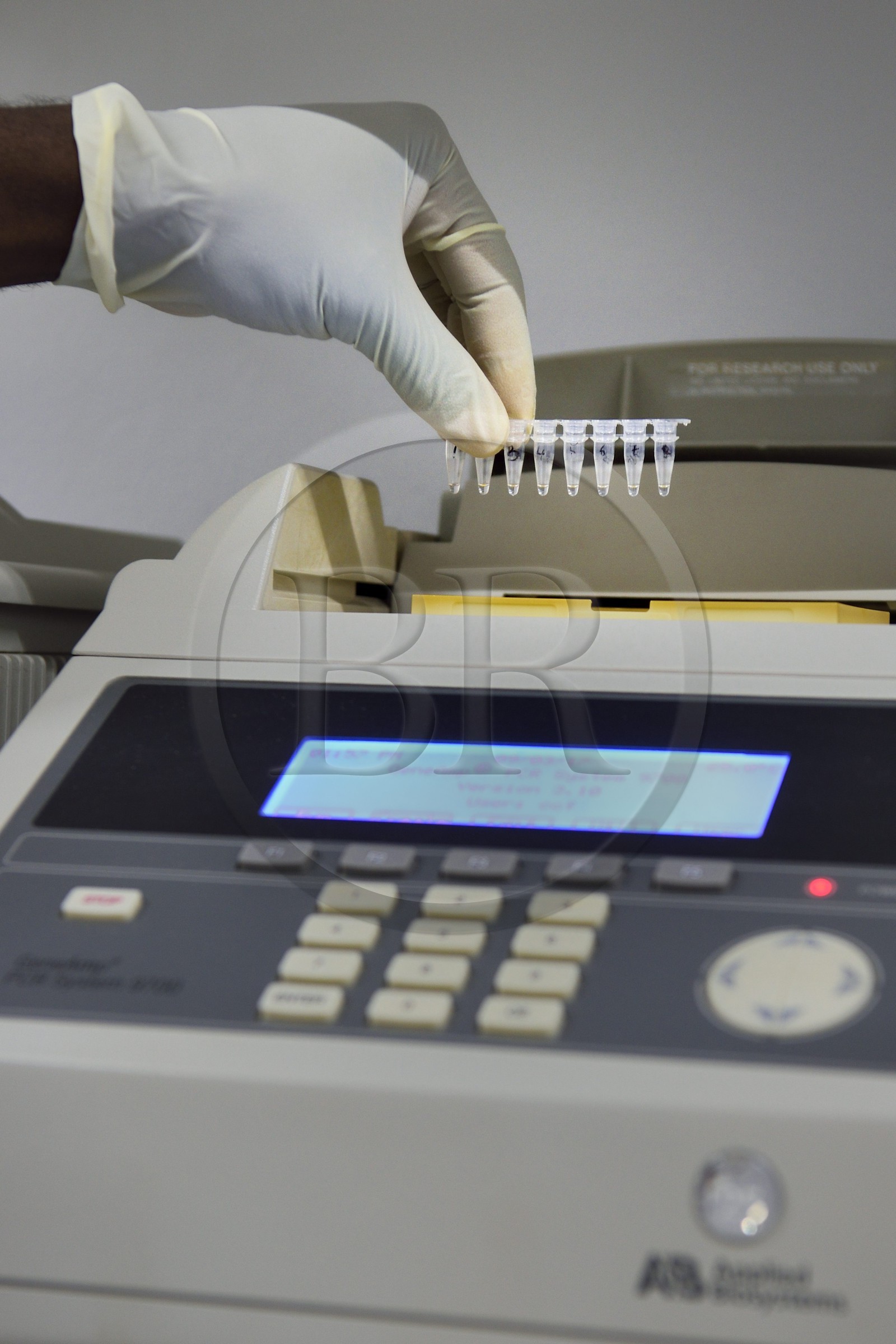 Namibie, Otjiwarongo, Cheetah Conservation Fund, centre de recherche et d'éducation, Life Technologies Conservation Genetics Laboratory, machine à PCR qui amplifie l'ADN