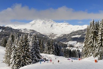 France, Haute-Savoie (74), Morzine, la vallée d'Aulps, massif du Chablais, domaine skiable des Portes du Soleil, vue sur le Roc d'Enfer (2243m) depuis le Pléney (1554m)