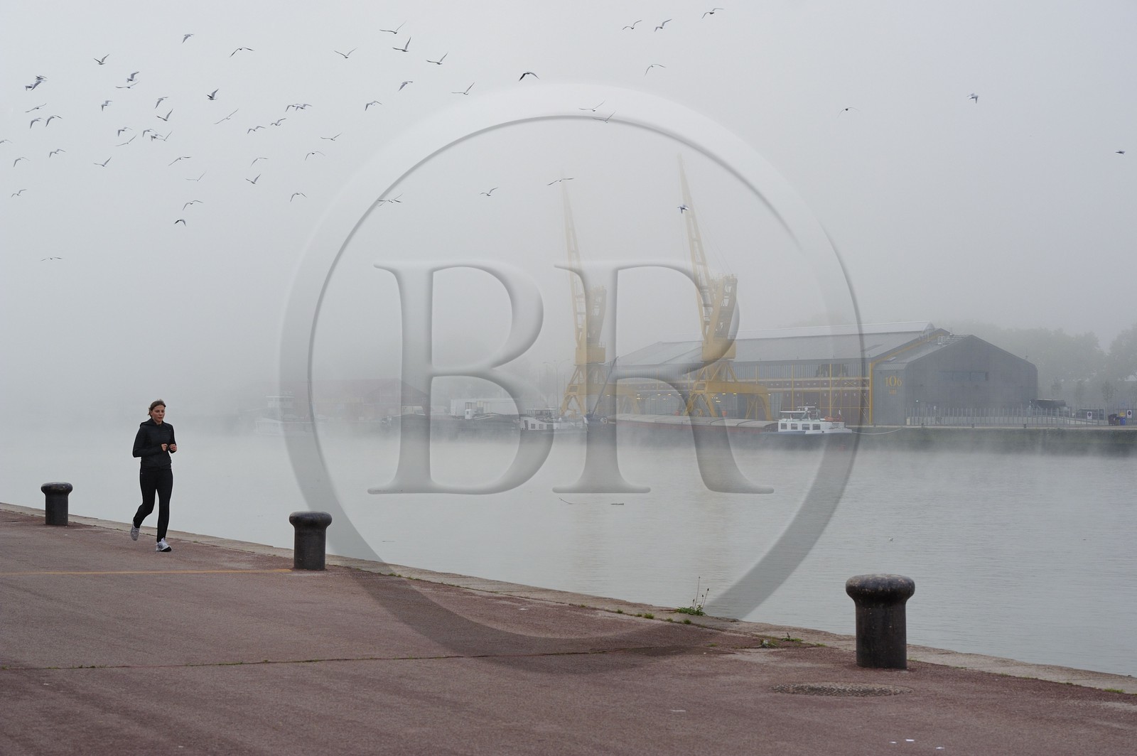 France, Seine Maritime, Rouen, the former docks on the Seine banks, the cranes under mist