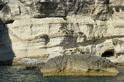 France, Corse-du-Sud (2A), Bonifacio, le bas de l'escalier du Roi-d'Aragon sculpté dans les falaises calcaires
