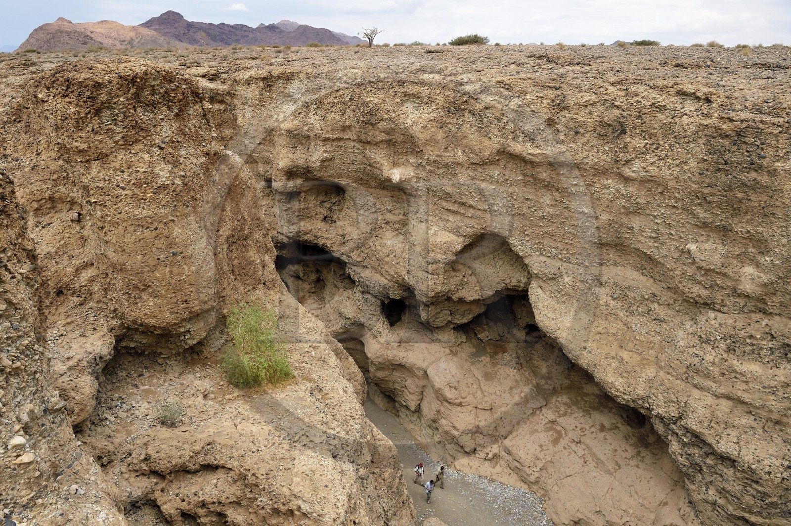Namibie, région d'Hardap, désert du Namib, parc national du Namib-Naukluft, Erg du Namib classé Patrimoine Mondial de l'UNESCO, Sossusvlei, canyon de Sesriem
